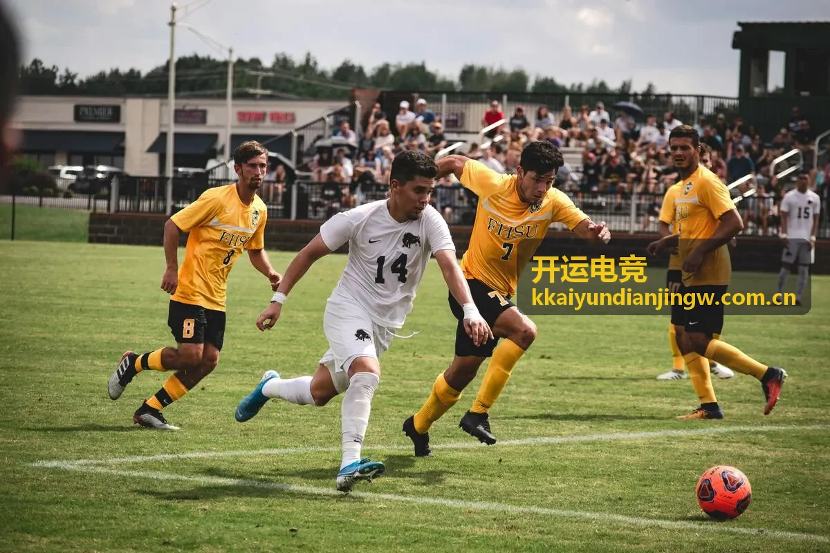 开运电竞 电竞战队剪影与数据可视化